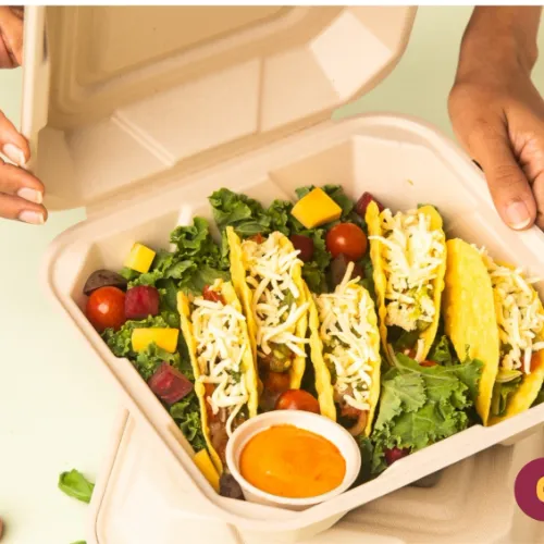 magnetic-mosquito-doors